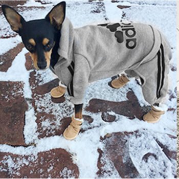 Dog Hoodies Adidas - 2025 - Puppy Streetwear Shop