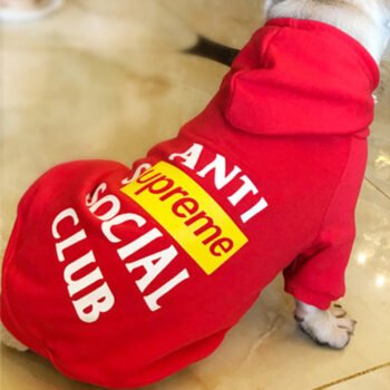 Dog Hoodies ASSP - 2025 - Puppy Streetwear Shop
