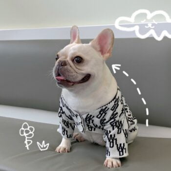 Dog Sweater - 2025 - Puppy Streetwear Shop Dog Sweater - 2025 - Puppy Streetwear Shop
