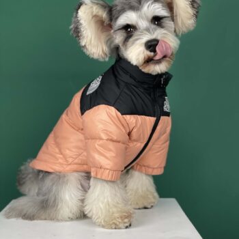 Dog Jacket The Dog Face - 2025 - Puppy Streetwear Shop Dog Jacket The Dog Face - 2025 - Puppy Streetwear Shop