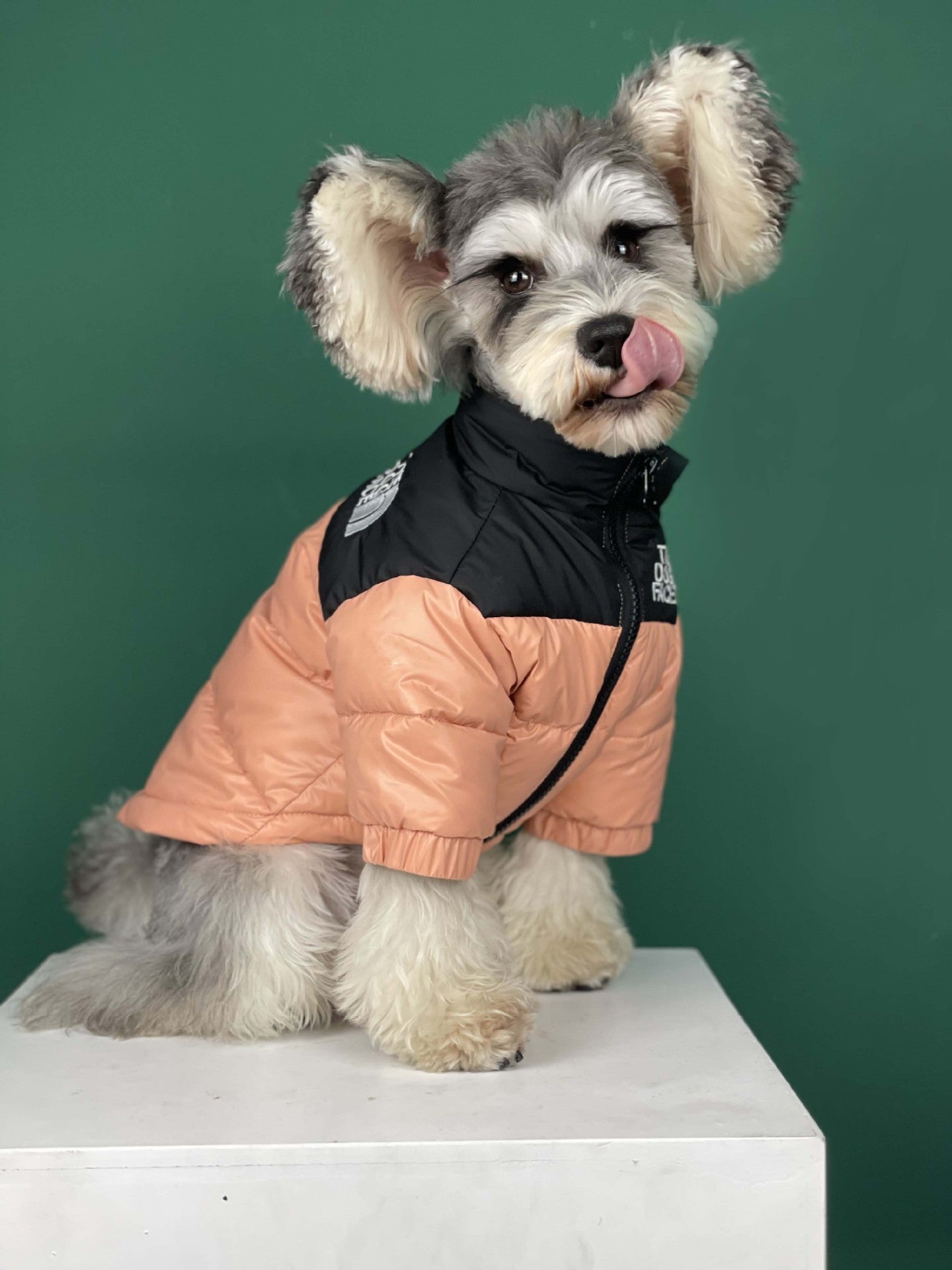 Dog Jacket The North Face - 2024 - Puppy Streetwear Shop