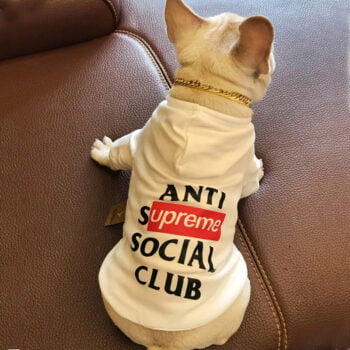 Dog Hoodies ASSP - 2025 - Puppy Streetwear Shop