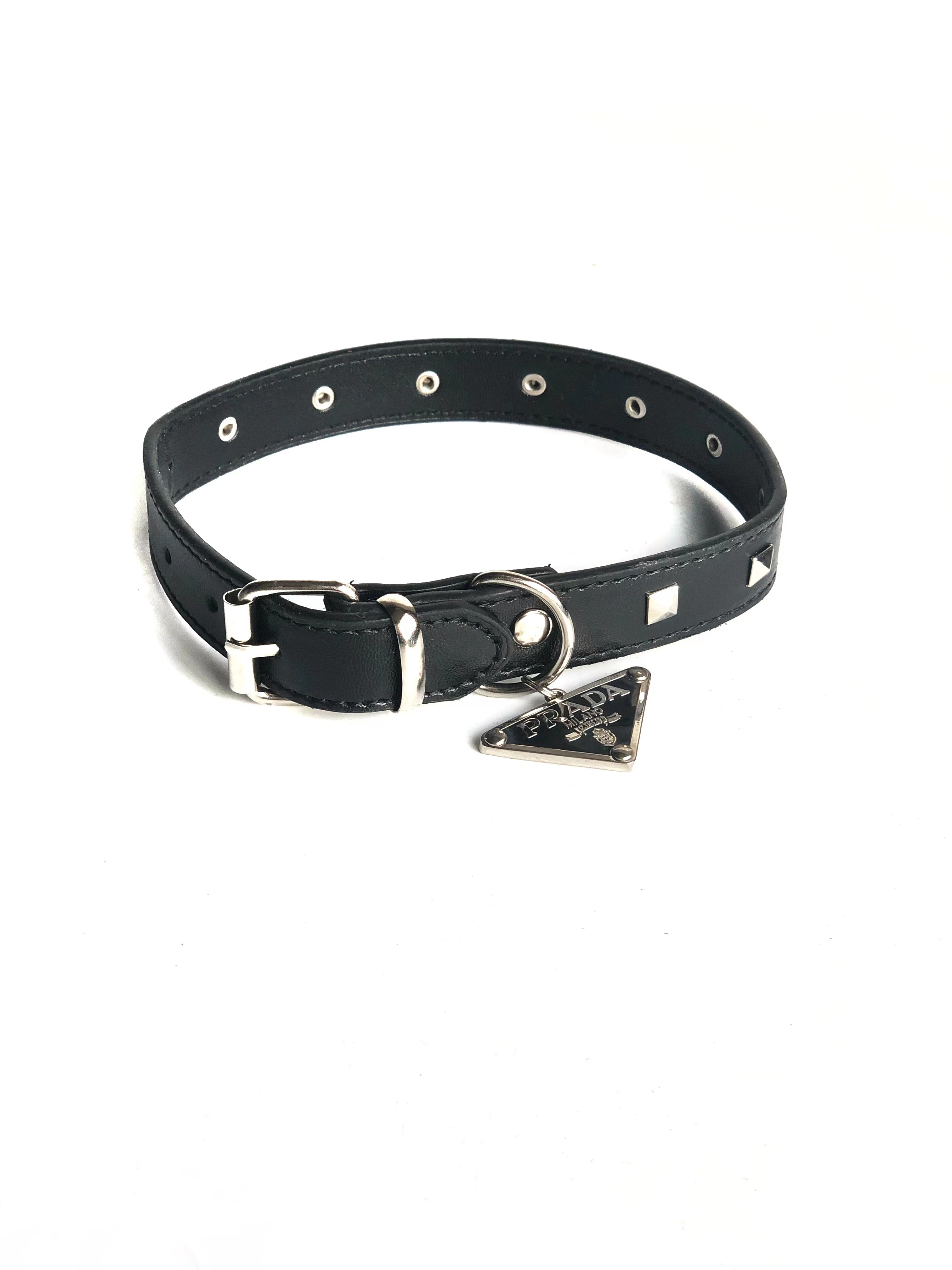 Designer Dog Collar Harness Prada - 2023 - Puppy Streetwear Shop