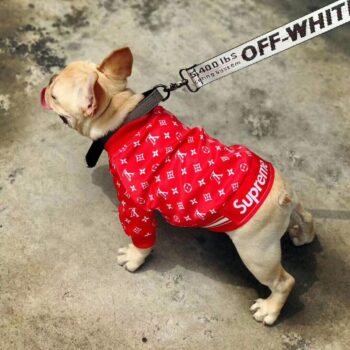 Dog Jacket Louis Pawtton - 2025 - Puppy Streetwear Shop