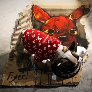 Dog Hoodies Louis Pawtton - 2025 - Puppy Streetwear Shop