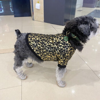 Dog Sweatshirt - 2025 - Puppy Streetwear Shop