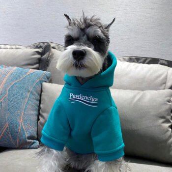 Dog Hoodies Balenciaga - 2026 - Puppy Streetwear Shop