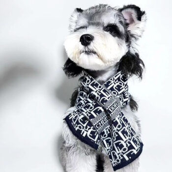 Dog Scarf Dior - 2025 - Puppy Streetwear Shop
