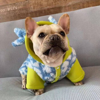 Dog Hoodies Dior - 2025 - Puppy Streetwear Shop