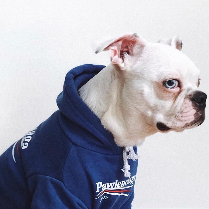 Dog Hoodies Pawlenciaga - 2024 - Puppy Streetwear Shop