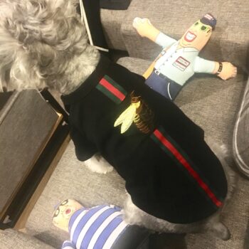 Dog Tshirt Pawcci - 2026 - Puppy Streetwear Shop