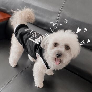 Dog Vest Nike - 2025 - Puppy Streetwear Shop