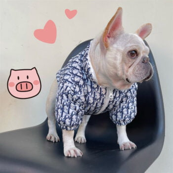 Dog Jacket Dior - 2025 - Puppy Streetwear Shop