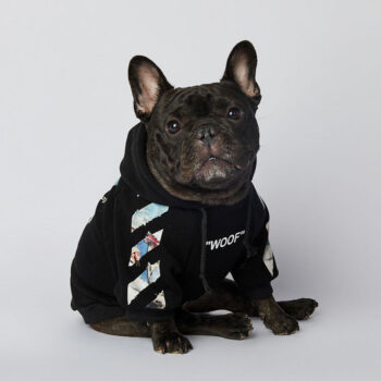 Dog Hoodies Woof - 2025 - Puppy Streetwear Shop