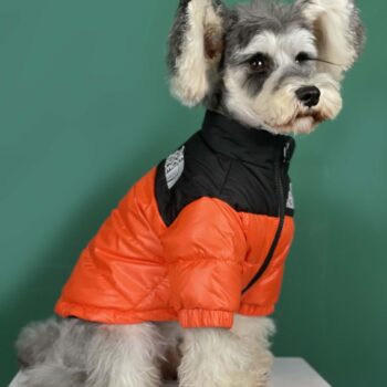 Dog Jacket The Dog Face - 2025 - Puppy Streetwear Shop Dog Jacket The Dog Face - 2025 - Puppy Streetwear Shop