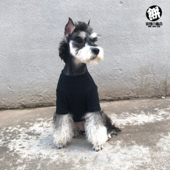 Dog Tshirt - 2025 - Puppy Streetwear Shop