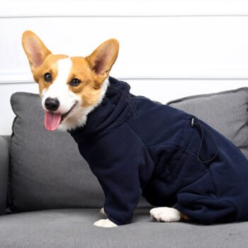 Blue The North Face Dog Jumpsuit - Adventure Chic Canine Wear - 2026 - Puppy Streetwear Shop