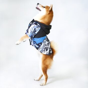 Dog Jacket The Dog Face Snow Mountain - 2026 - Puppy Streetwear Shop