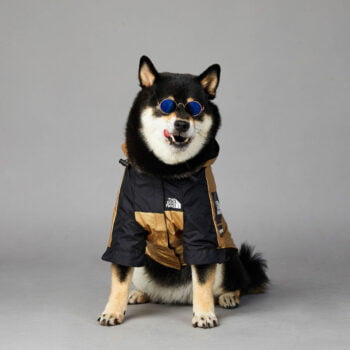 Dog Hoodies The North Face - 2026 - Puppy Streetwear Shop