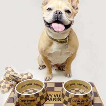 Chewy Pawtton Paris Dog Bowl & Mat - 2025 - Puppy Streetwear Shop