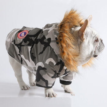 Dog Jacket Canada Goose - 2025 - Puppy Streetwear Shop
