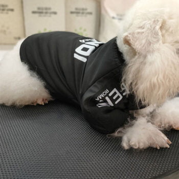 Dog Jacket Fendi - 2025 - Puppy Streetwear Shop