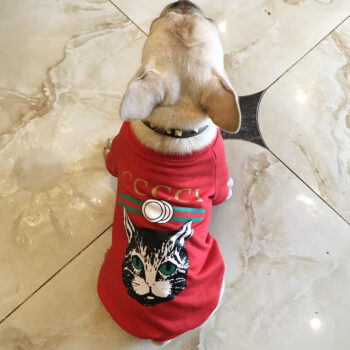 Dog Sweatshirt Pawcci - 2025 - Puppy Streetwear Shop