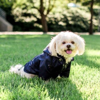 Dog Jacket - 2025 - Puppy Streetwear Shop