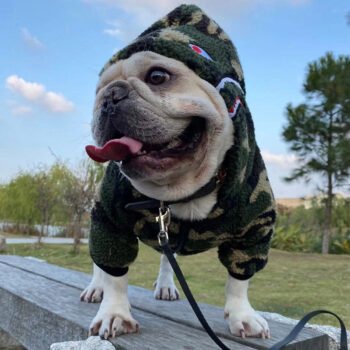 Dog Hoodies Bape - 2025 - Puppy Streetwear Shop