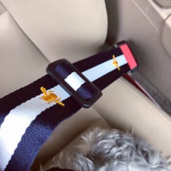 Dog Collar Harness Pawcci - 2025 - Puppy Streetwear Shop