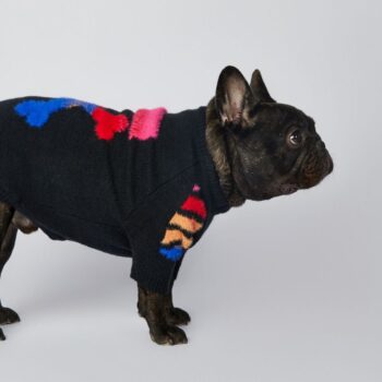 Dog Sweater WOOF - 2026 - Puppy Streetwear Shop