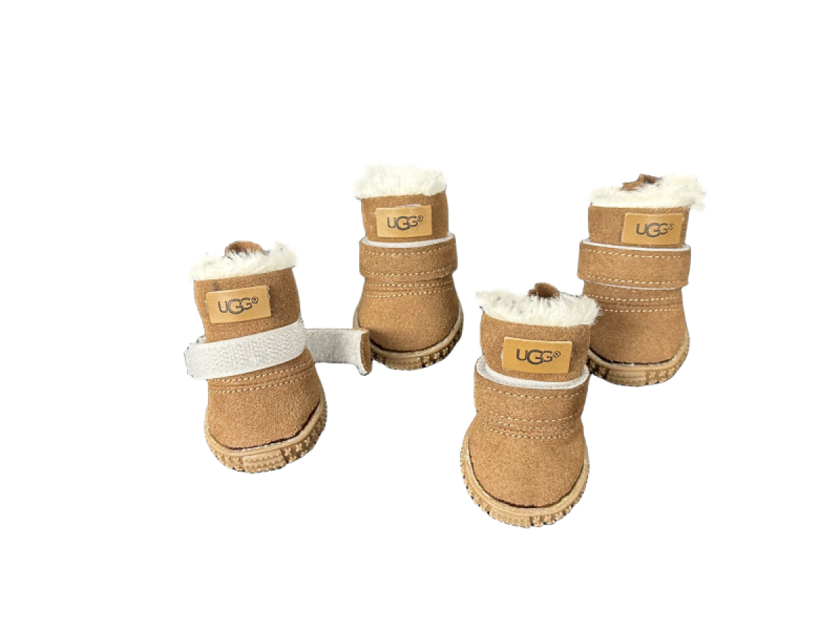 Ugg store dog shoes