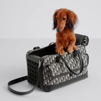 Luxury Travel in Style: Dior Designer Dog Carrier for Small Breeds - 2025 - Puppy Streetwear Shop Luxury Travel in Style: Dior Designer Dog Carrier for Small Breeds - 2025 - Puppy Streetwear Shop
