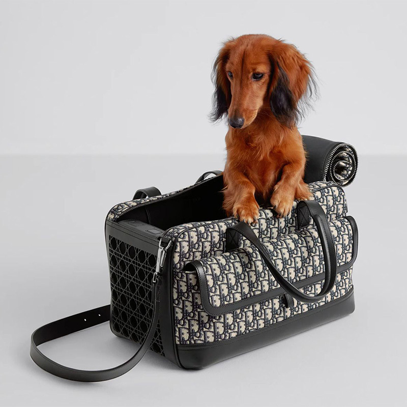 Designer Pet Traveling Bag for Small Dogs - 2024 - Puppy Streetwear Shop